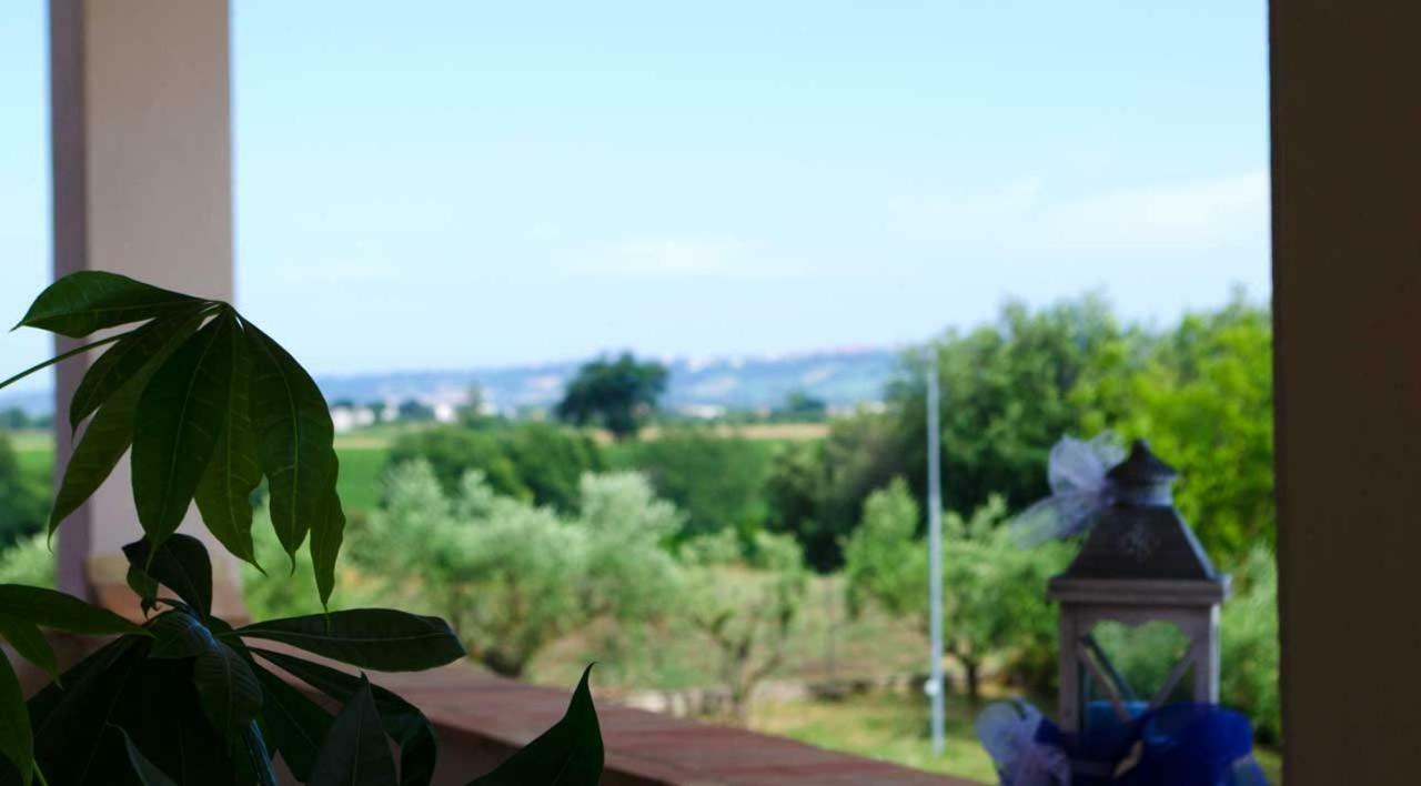 B&B Armonia Montecosaro  Luaran gambar